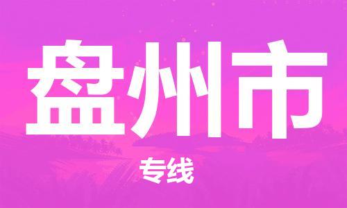 吕巷镇到盘州市物流公司-吕巷镇至盘州市专线-大型配送