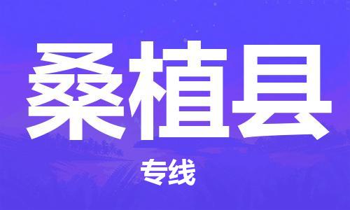 吕巷镇到桑植县物流公司-吕巷镇至桑植县专线-大型配送
