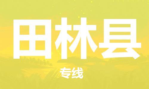 吕巷镇到田林县物流公司-吕巷镇至田林县专线-大型配送
