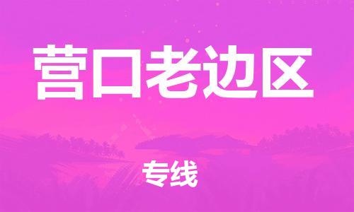 吕巷镇到营口老边区物流-吕巷镇至营口老边区货运专注一条路，做好每一步