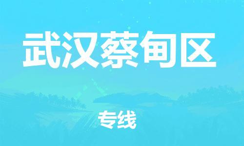 吕巷镇到武汉蔡甸区物流-吕巷镇至武汉蔡甸区货运专注一条路，做好每一步